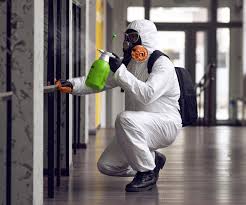 Eastwood, LA Mold Removal & Remediation Company